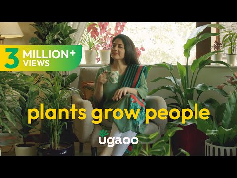 Ugaoo | plants grow people