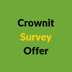 Crownit Survey