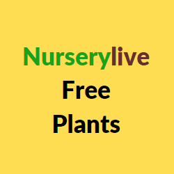 Nurserylive Free Plants