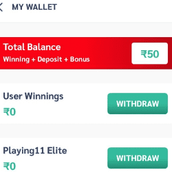 Playing 11 wallet