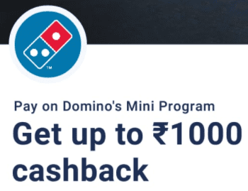 paytm domino