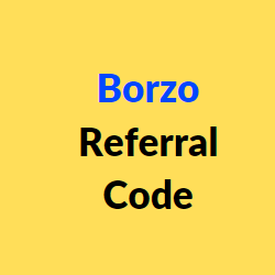 Borzo referral code
