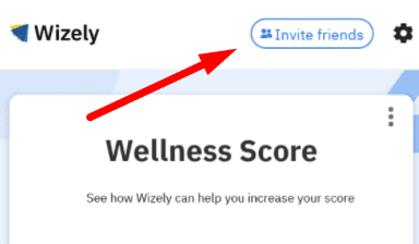 wizely invite