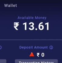 Tamasha wallet balance