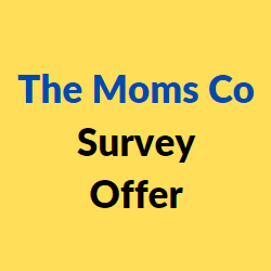 The Moms Co Survey
